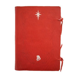 Manufacturers Exporters and Wholesale Suppliers of Student Leather Diary Delhi Delhi